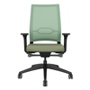 Bürodrehstuhl mit hoher Rückenlehne und atmungsaktiver Membranbespannung in Grün.