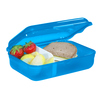 Brotzeitdose in Blau mit einem Sandwich, Apfelstücken und Erdbeeren im Inneren.