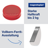 Roter Ergo-Magnet mit ergonomischem Griffrand und Hinweise zur Haftkraft und Ferrit-Ausstattung.