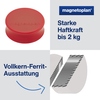 Roter Ergo-Magnet mit ergonomischem Griffrand und Informationen zur Haftkraft und Ausstattung.