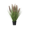 DECORIS Kunstpflanze Lampenputzergras 30 x 68 cm (B x H) Produktbild pa_produktabbildung_1 S