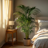 Areca-Palme in einem Topf steht neben einem Bett in einem hellen Schlafzimmer.