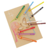 Pelikan Buntstift griffix® 12 St./Pack. Produktbild pa_ohnedeko_2 S