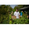 Floragard Gartenerde Produktbild pa_ohnedeko_2 S