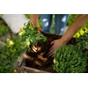 Floragard Hochbeet Produktbild pa_ohnedeko_2 S