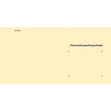 RNK Verlag Zustellungsumschlag 235 x 125 mm (B x H) ohne Fenster