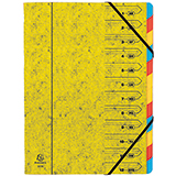 Exacompta Ordnungsmappe Nature Future 12 Fächer