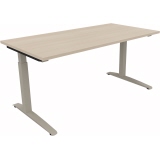 Schreibtisch all in one 1.600 x 650-850 x 800 mm (B x H x T) Flachkufe Quadratrohr Rasterhöhenverstellung silberaluminium