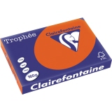 Clairefontaine Kopierpapier Trophée Color DIN A3 160 g/m²