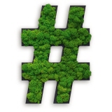 STYLEGREEN Pflanzen-Piktogramm Islandmoos Sonderzeichen "hashtag"