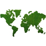 STYLEGREEN Pflanzenbild Weltkarte Islandmoos