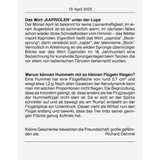 BRUNNEN Abreißkalender 2025