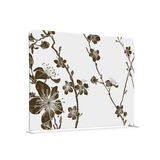 Showdown® Displays Trennwand Abstrakte Japanische Kirschblüte 150 x 150 x 45 cm (B x H x T)