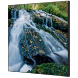 Showdown® Displays Dekobild 40 x 40 cm (B x H) Wasserfallwald