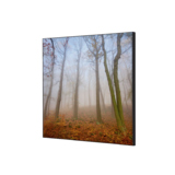 Showdown® Displays Dekobild 40 x 40 cm (B x H) Herbstnebel