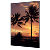 Showdown® Displays Dekobild 84,1 x 59,4 cm (B x H) Palmen Sonnenuntergang