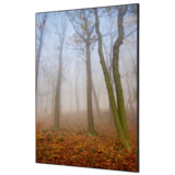 Showdown® Displays Dekobild 84,1 x 59,4 cm (B x H) Herbstnebel