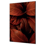 Showdown® Displays Dekobild 84,1 x 59,4 cm (B x H) Botanische Blätter