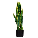 Paperflow Zimmerpflanze meet Sansevieria 65 cm