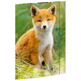 Karton-Zeichenmappe mit Fuchs-Motiv und farbigem Gummizugverschluss.
