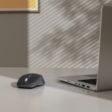 Hama Optische PC Maus WM-450