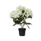 DECORIS Kunstpflanze Hortensie