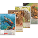 Zeichenblock DIN A4 mit verschiedenen Tiermotiven auf dem Cover.