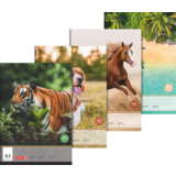 Zeichenblock DIN A3 mit vier verschiedenen Tiermotiven auf der Vorderseite.