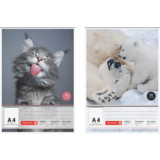 Malblock mit Tiermotiven auf dem Cover, A4-Format, mit Kopfleimung und stabilem Kartonrücken.