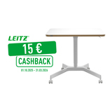 Leitz Schreibtisch Ergo 600 x 750-1.140 x 800 mm (B x H x T) pneumatisch