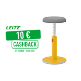 Leitz Sitz-Steh-Hocker Ergo Cosy 2-in-1