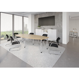 Hammerbacher Konferenztisch KT28C Stahl, verchromt eiche