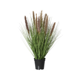 DECORIS Kunstpflanze Lampenputzergras 30 x 68 cm (B x H)