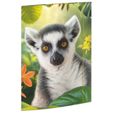 RNK Verlag Zeichenmappe Lemur Produktbild