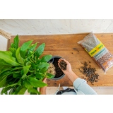 Floragard Tongranulat 2 x 5 l