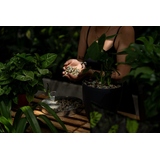 Floragard Pflanzensubstrat Green Jungle Mix