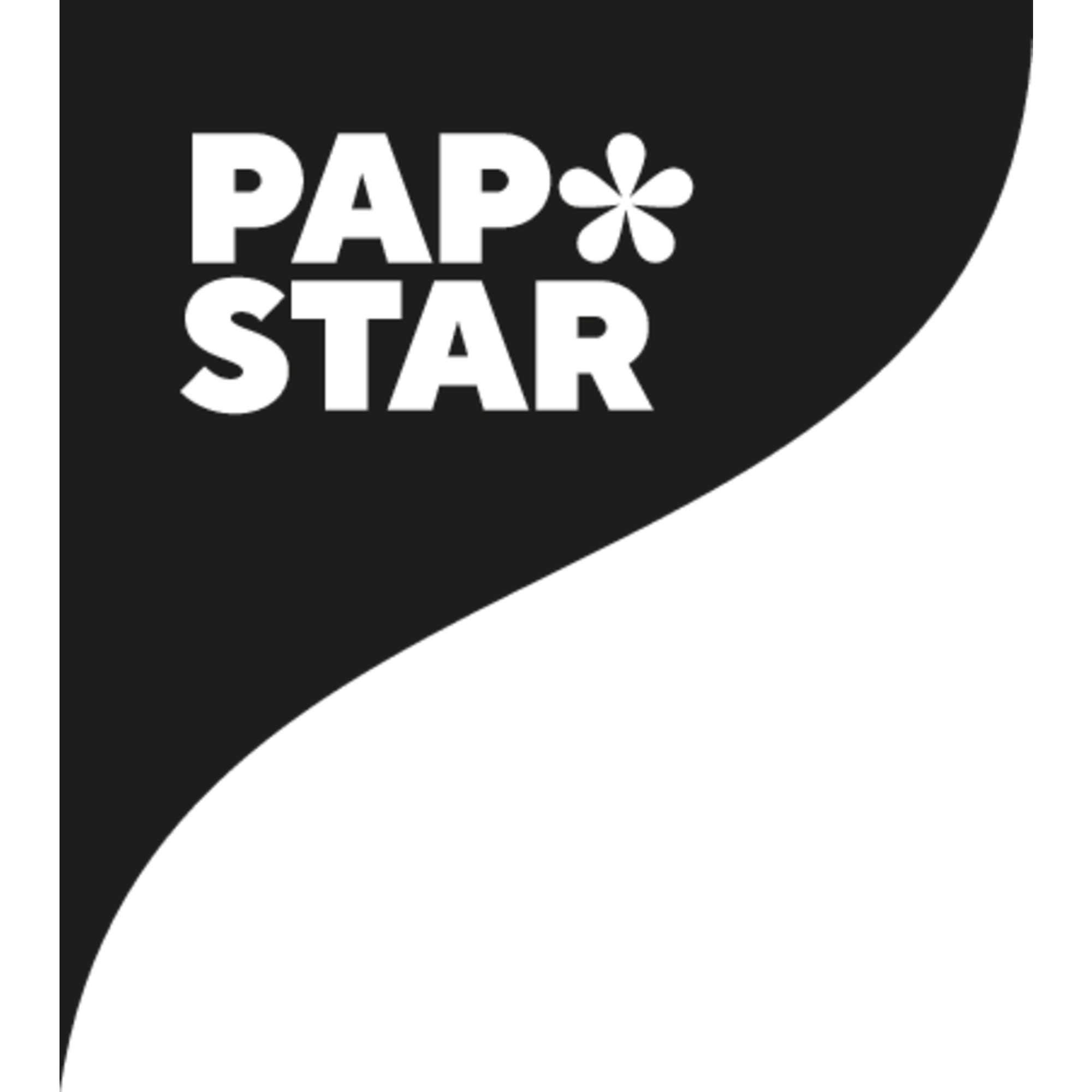 PAPSTAR Aluminiumfolie 14020 30cmx20m 0,011mm silber