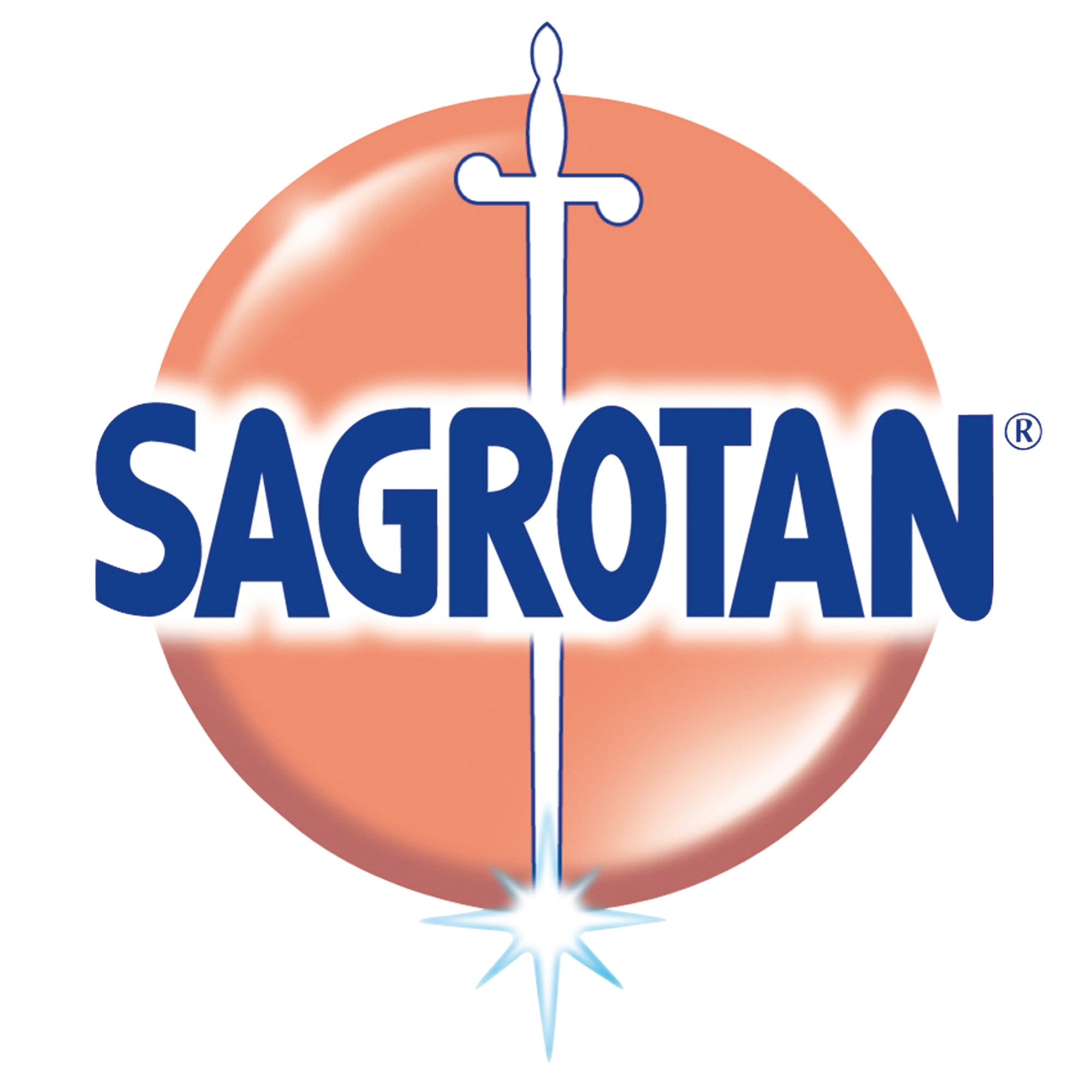 Sagrotan Waschmaschinenreiniger 3278517 250ml - 1