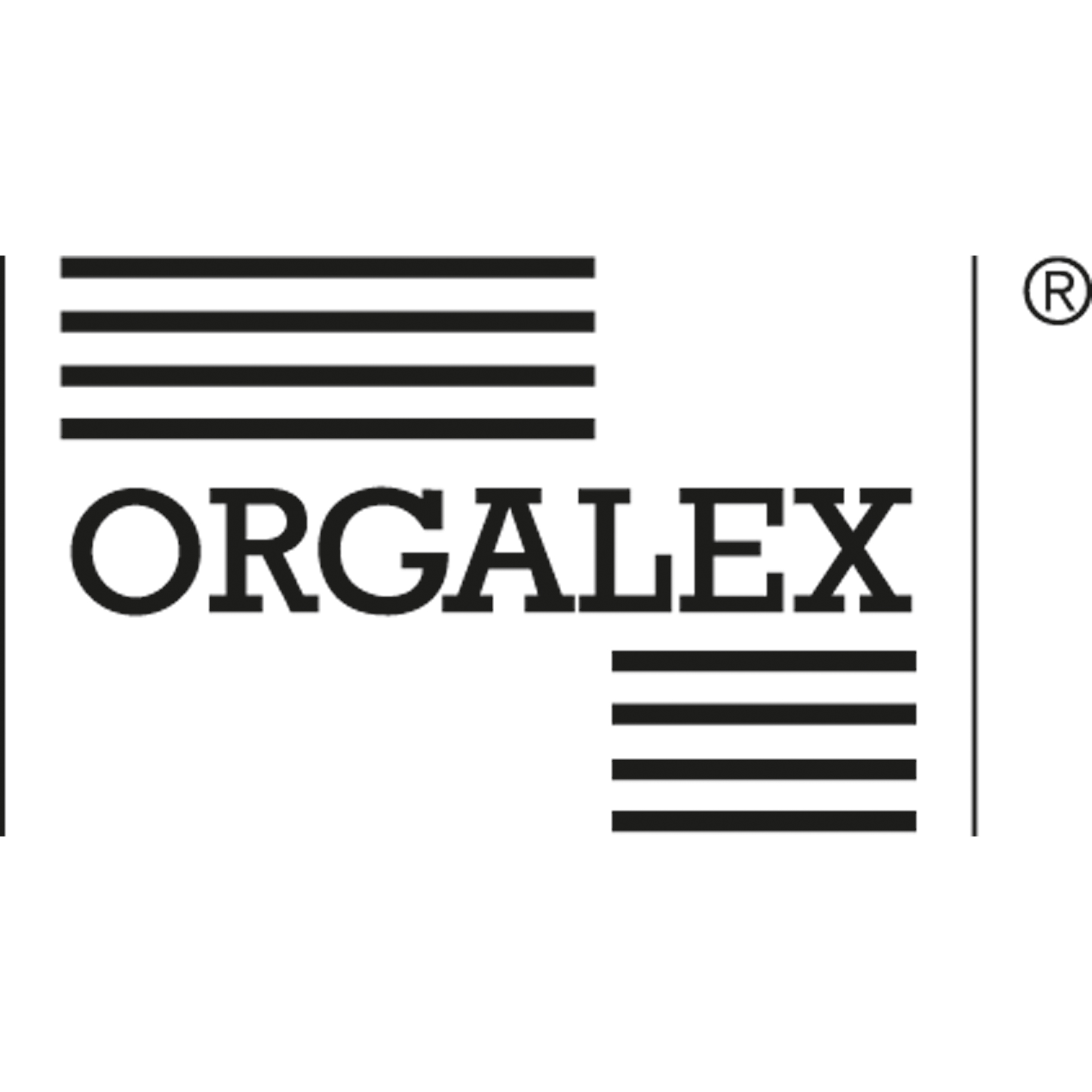 ORGALEX Organisationsstreifen 1344221 I-XII ws 100St