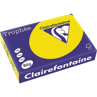 Clairefontaine Kopierpapier Trophée Color DIN A4 80 g/m² 500 Bl./Pack. goldgelb Produktbild