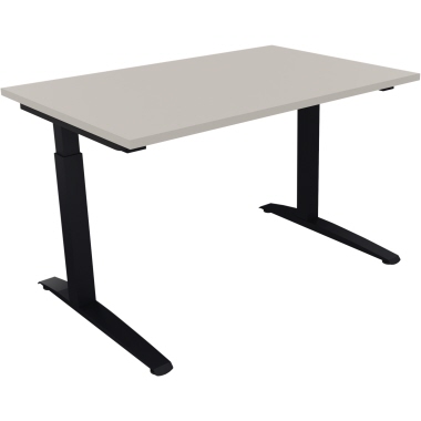 Schreibtisch all in one 1.200 x 650-850 x 800 mm (B x H x T) Flachkufe Quadratrohr lichtgrau anthrazitmetallic Produktbild