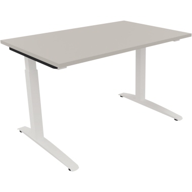 Schreibtisch all in one 1.200 x 650-850 x 800 mm (B x H x T) Flachkufe Quadratrohr lichtgrau verkehrsweiß Produktbild