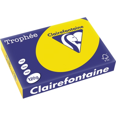 Clairefontaine Kopierpapier Trophée Color DIN A4 120 g/m² 250 Bl./Pack. goldgelb Produktbild pa_produktabbildung_1 L