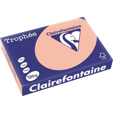 Clairefontaine Kopierpapier Trophée Color DIN A4 120 g/m² 250 Bl./Pack. pfirsich Produktbild