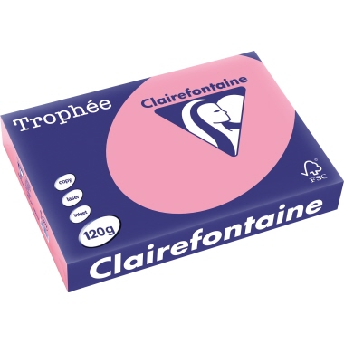 Clairefontaine Kopierpapier Trophée Color DIN A4 120 g/m² 250 Bl./Pack. heckenrose Produktbild