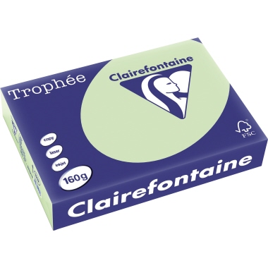 Clairefontaine Kopierpapier Trophée Color DIN A4 160 g/m² 250 Bl./Pack. grün Produktbild