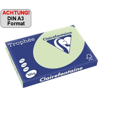 Clairefontaine Kopierpapier Trophée Color DIN A3 120 g/m² grün Produktbild