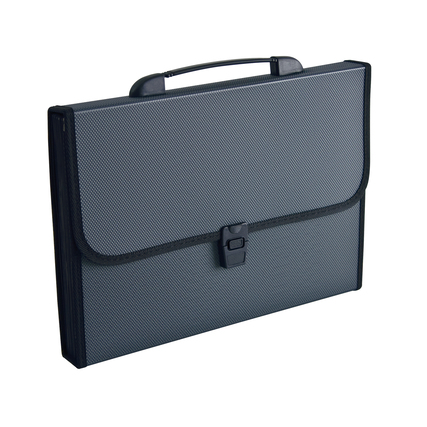 Fächertasche DIN A4 schwarz Produktbild pa_stellvertreter_2 XL