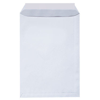 Versandtasche DIN C4 ohne Fenster 25 St./Pack. Produktbild pa_stellvertreter_1 XL