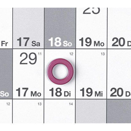 magnetoplan® Jahresplaner Produktbild pa_ohnedeko_1 XL